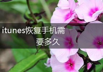 itunes恢复手机需要多久