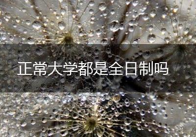 正常大学都是全日制吗