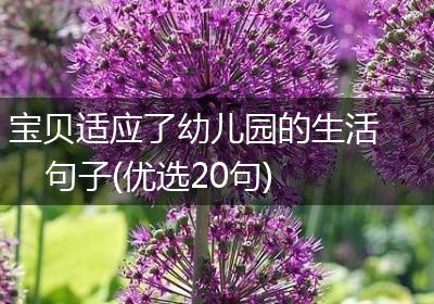 宝贝适应了幼儿园的生活句子(优选20句)