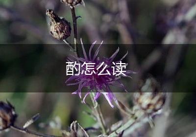 酌怎么读