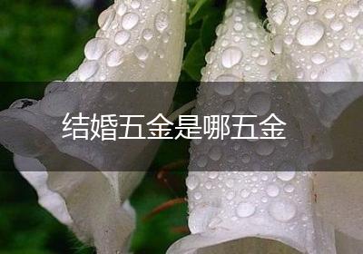 结婚五金是哪五金