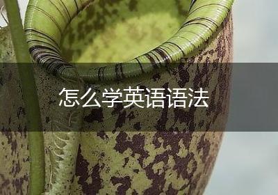 怎么学英语语法