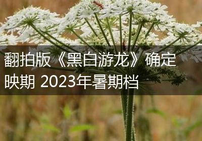 翻拍版《黑白游龙》确定映期 2023年暑期档上映