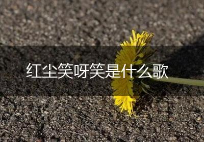 红尘笑呀笑是什么歌
