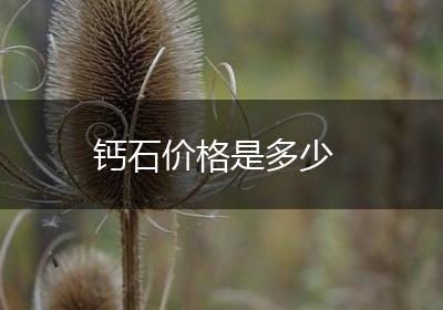 钙石价格是多少