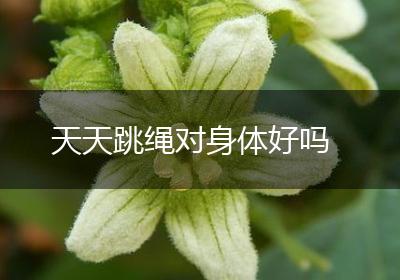 天天跳绳对身体好吗