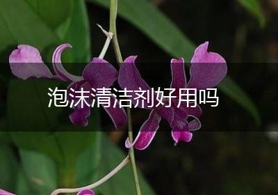 泡沫清洁剂好用吗