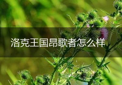 洛克王国昂歌者怎么样