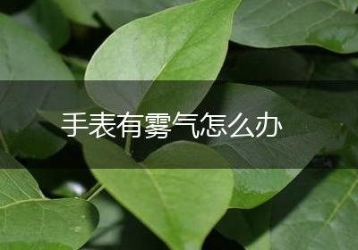手表有雾气怎么办