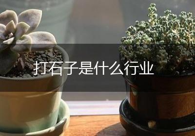 打石子是什么行业