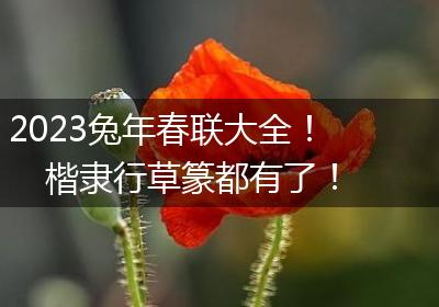 2023兔年春联大全！楷隶行草篆都有了！