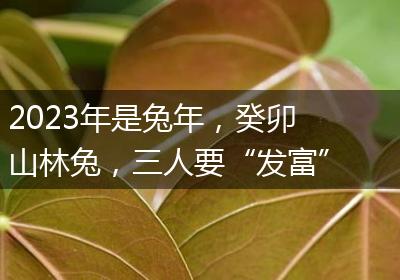 2023年是兔年，癸卯山林兔，三人要“发富”，指的是哪三种人？