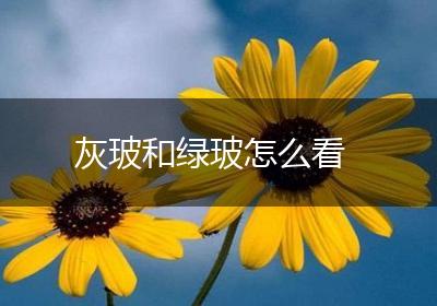 灰玻和绿玻怎么看