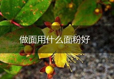 做面用什么面粉好
