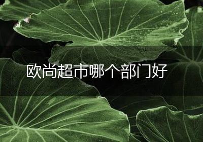 欧尚超市哪个部门好