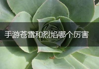 手游苍雷和烈焰哪个厉害