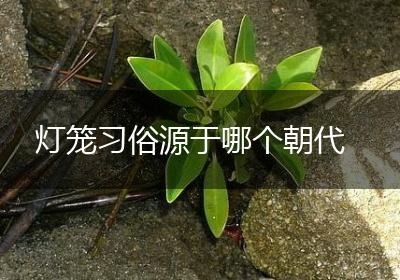 灯笼习俗源于哪个朝代