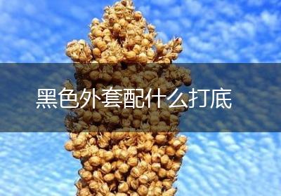 黑色外套配什么打底