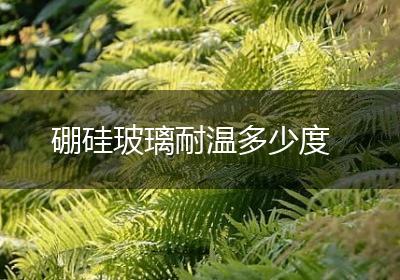 硼硅玻璃耐温多少度