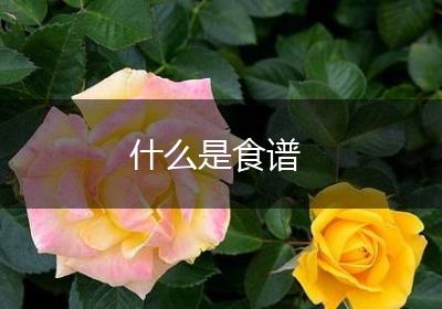 什么是食谱
