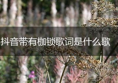 抖音带有枷锁歌词是什么歌