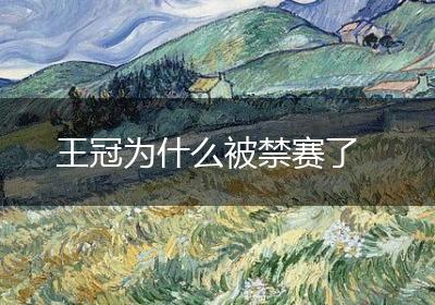 王冠为什么被禁赛了