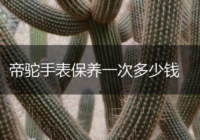 帝驼手表保养一次多少钱