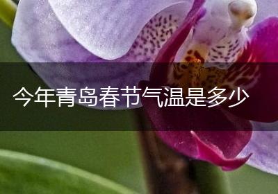 今年青岛春节气温是多少