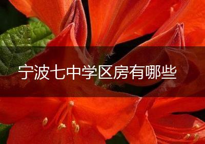 宁波七中学区房有哪些