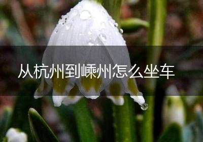 从杭州到嵊州怎么坐车