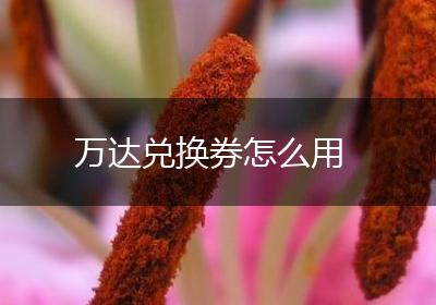 万达兑换券怎么用