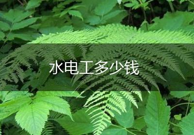 水电工多少钱