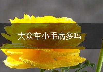 大众车小毛病多吗
