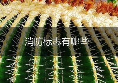 消防标志有哪些