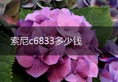 索尼c6833多少钱