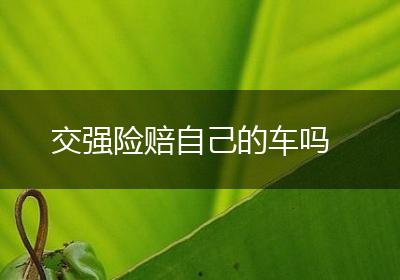 交强险赔自己的车吗