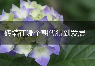 砖墙在哪个朝代得到发展