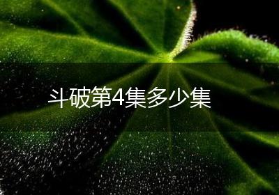 斗破第4集多少集