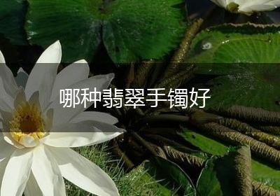 哪种翡翠手镯好