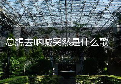 总想去呐喊突然是什么歌