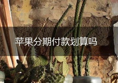 苹果分期付款划算吗