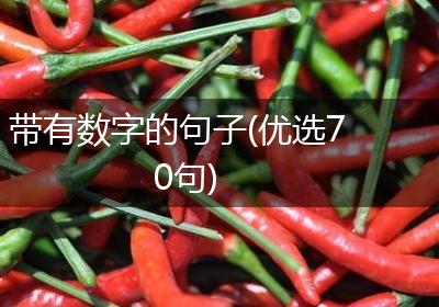 带有数字的句子(优选70句)