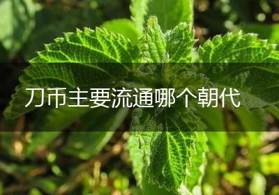 刀币主要流通哪个朝代