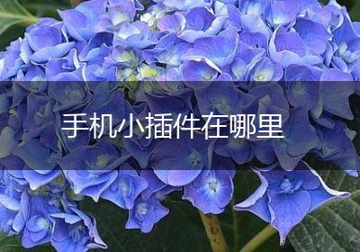 手机小插件在哪里