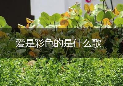 爱是彩色的是什么歌