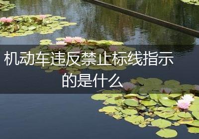 机动车违反禁止标线指示的是什么