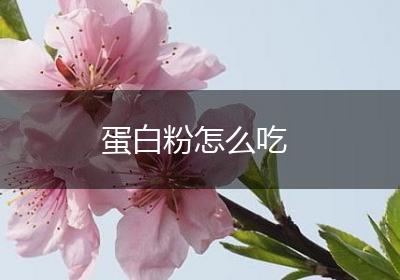 蛋白粉怎么吃