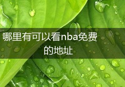 哪里有可以看nba免费的地址