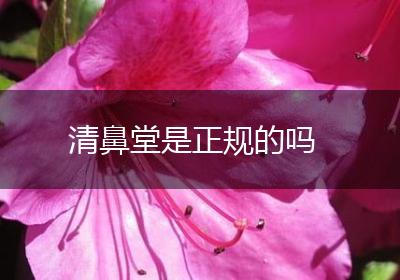 清鼻堂是正规的吗