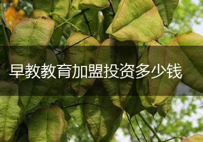 早教教育加盟投资多少钱